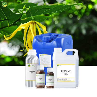 Kadın ve Erkek İçin Yağ Bazlı Parfüm Markası Tasarımcı Koku Yağı Roll-on Parfüm Yağı Vücut Spreyi İçin