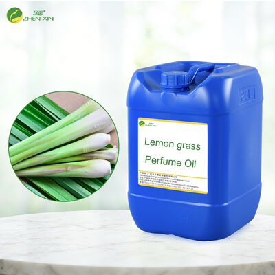 Tasarımcı Parfüm Yağı Parfüm Musk Yağmur Parfümü Arapça Uzun Süren İlhamlı Parfüm Yağı Toplu Beden Spreyi Parfüm Parfümü